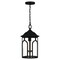 Quoizel Brampton 1-Light Matte Black Mini Pendant BRM1509MBK - alternate 6